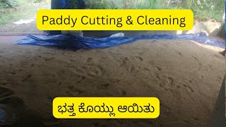 Vlog-57/ಭತ್ತ ಕೃಷಿ/Paddy Krishi/ಭತ್ತ ಕೊಯಿದಾಯಿತು/ ಹುಲ್ಲು ಪ್ರತ್ಯೇಕ ಮಾdi ಆಯಿತು