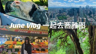 西雅图vlog｜世界上第一家星巴克｜吃吃喝喝｜奥林匹克国家公园｜雨林徒步｜遇见超亲人的小动物