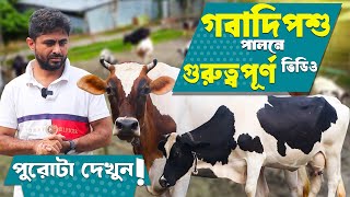 দুগ্ধজাত গাভী পালনের আগে জানুন! গরুর খাদ্য, বাসস্থান, রোগ ও চিকিৎসা এবং ম্যানেজম্যান্ট | Dairy Farm