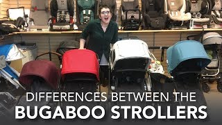 Differences Between the Bugaboo Strollers | Cameleon, Donkey, Buffalo, Bee5 | 2017 Reviews