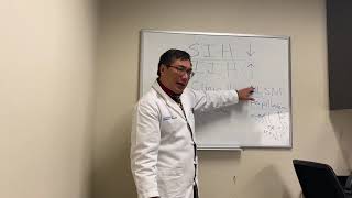 Spontaneous Intracranial hypotension