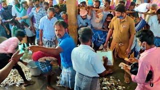 Kattumavadi  Fish Market  I கட்டுமாவடி மீன் ஏலம்