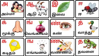 Learn Uyir Ezhuthukal in Tamil |Mei ezhuthukal|Uyirmei Ezhuthukal|அஆஇஈ|கஙசஞ|க்ங்ச்ஞ்|@FriskyBees