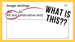 WHAT IS ALTERNATIVE TEXT? AKA alt text, alt tag, alternative attribute, alternative description