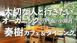 奏樹カフェ＆ダイニング【山梨県・小淵沢】デートで行きたい八ヶ岳でおすすめのオーガニック料理！大切な人と行くならこのカフェレストラン！（野菜料理・森のレストラン）