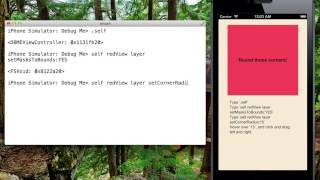 Super Debugger, the wireless iOS debugging system