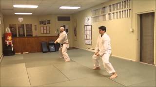 Go Kyu Preview (Shorin Ryu, Nihon Goshin Aikido, Daitoryu Aikijujutsu)