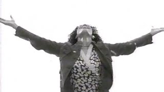 2003 Cingular Wireless Rollover Commercial - U.S. Television (4:3)