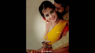 அழகான மஞ்ச புறா அதன் கூட மாடபுறா❤️ தமிழ் love song❤️ whatsapp status ❤️love❤️ full screen ❤️