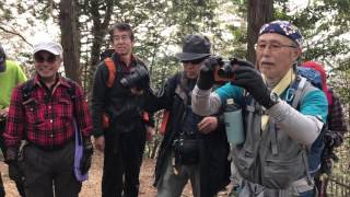 2017年3月、越上山山行動画（４）越上山登頂