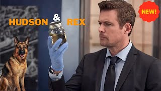 Hudson and Rex 🦮🍁 The France Connection | Best Police Drama Full Episodes 2024