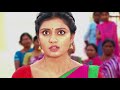 punnaga పున్నాగ telugu serial ep 253 pavitra lokesh anjana srinivas zee telugu