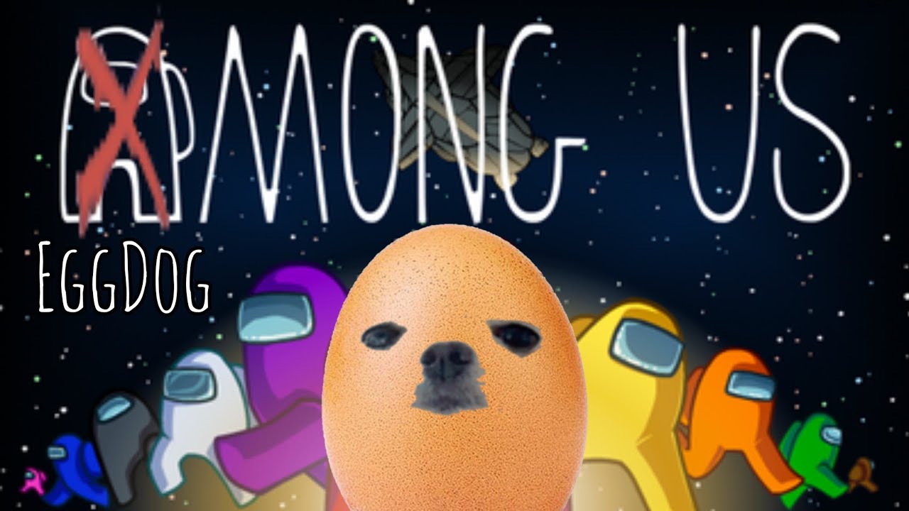 Among Us But Eggdog Youtube