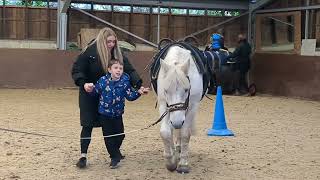 Horse Therapy - Portfield School