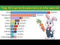 Top 10 Carrot Exporters in the World | Top 10 Data Ranking