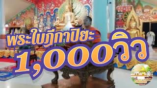 ฟังเทศน์ ฟังธรรม ให้วิบวับ อย่าตกใจอย่างเดียว #พระใบฎีกาปิยะ เจ้าอาวาส วัด บางเสียด