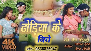 #video || DHODHIYA KE BEECHE || ढोडीया के बिचे || Dharmraj Dulara Sikha Sohani ,2025,Super  hit