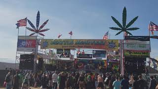 Seattle Hempfest 2017 Live Music