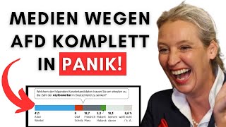 Reaktion auf Bild: AfD im Umfrage-Hoch - Kann Weidel Merz noch einholen?