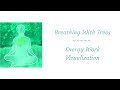 Breathing With Trees - Energy Work Visualization