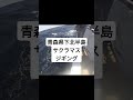 青森県下北半島　野牛漁港　サクラマスジギング