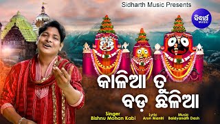 Kalia Tu Bada Chhalia - Bhabapurna Jagannath Bhajan |କାଳିଆ ତୁ ବଡ଼ ଛଳିଆ | Bishnu Mohan |Sidharth Music