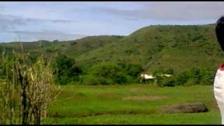 Bhivpuri Waterfall Surrounding.mp4