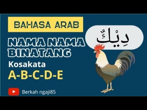 NAMA NAMA BINATANG AWALAN🟢(A_B_C_D_E)BAHASA ARAB - YouTube