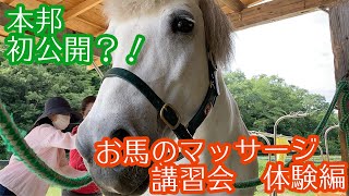 人へだけじゃない！お馬のマッサージ講習会体験編