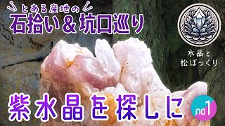 【鉱物採集】紫水晶を探しに1 紫脈の坑口散策と山中のステキな出会い【石拾い】 #紫水晶