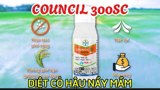 THUỐC DIỆT CỎ HẬU NẨY MẦM TREN LÚA-COUNCIL 300SC CTY BAYER