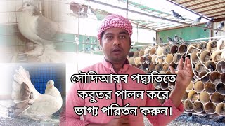 কবুতর পালনের সহজ পদ্ব্যতি | কবুতর মাংসের উপকারীতা | কবুতর