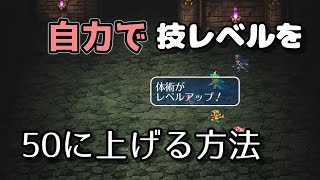 【ロマサガ3リマスター】パーティー外成長しない技レベルを自力で50まで上げる方法【ゆっくり実況】