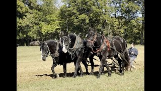 Boonville 2024 Fall Plow Day