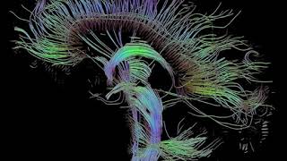 Biological data visualization | Wikipedia audio article
