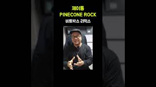 제이통 - PINECONE ROCK 음악을 비트박스로 리믹스 해봤다