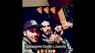 Supuesto audio de whatsapp, donde sicarios del mayito flaco acusan al Gavilan de los chapitos!!!