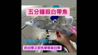 五分鐘輕鬆用剪刀殺白帶魚 #白帶魚#海釣#輕輕鬆鬆