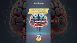 Which part of the brain controls body temperature? 🤒 #information #knowledge #temperature #shorts