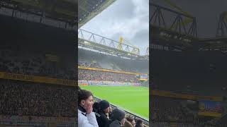 Dynamo Dresden Torjubel in Dortmund 12.03.23 #shorts