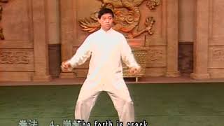 [中文] 陳正雷 Chen Zhenglei - 陳氏太極拳老架二路 (炮捶) Chen-Style Taijiquan Laojia Erlu