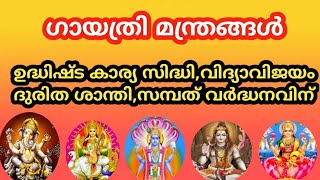 ഗായത്രി മന്ത്രം🙏 സമ്പത് വർദ്ധനവ്! ഉദ്ധിഷ്ട കാര്യസിദ്ധി! വിദ്യാവിജയം! ദുരിതശാന്തി🍁 #gayatrimantra