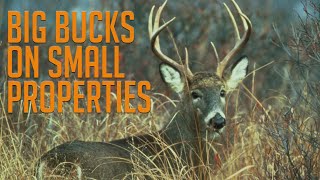 How to Transform Your Small Hunting Property into a Big Buck Paradise!\