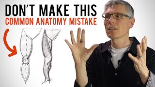 How Asymmetry and Anatomy Go Hand in Hand