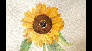 How to Paint Sunflower in Watercolor/水彩でひまわりを描き方 | Step by Step #watercolortutorial