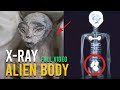 Mexico Alien X-Ray  - Full Video (historic broadcast - scientific analysis)