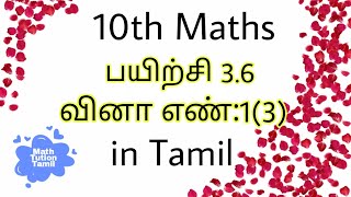 10th Maths Exercise 3.6(1(3)) in tamil || பத்தாம் வகுப்பு பயிற்சி 3.6(1(3)) #10thmaths #class10