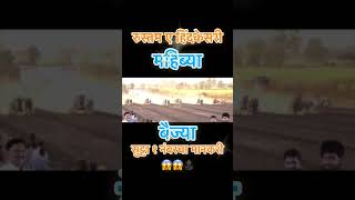 महिब्या \u0026 बैज्या १ नंबरचा मानकरी|P3 live|bailgada sharyat live#बैलगाडा#bailgadasharyat #dj #trending