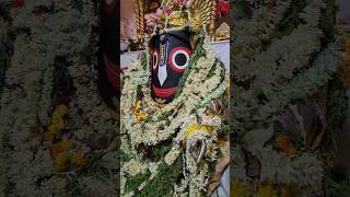 MAHESH JAGANNATH TEMPLE #mahesh #maheshrathyatra2023 #shorts