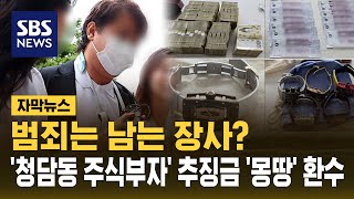 범죄는 남는 장사? '청담동 주식부자' 추징금 '몽땅' 환수 (자막뉴스) / SBS